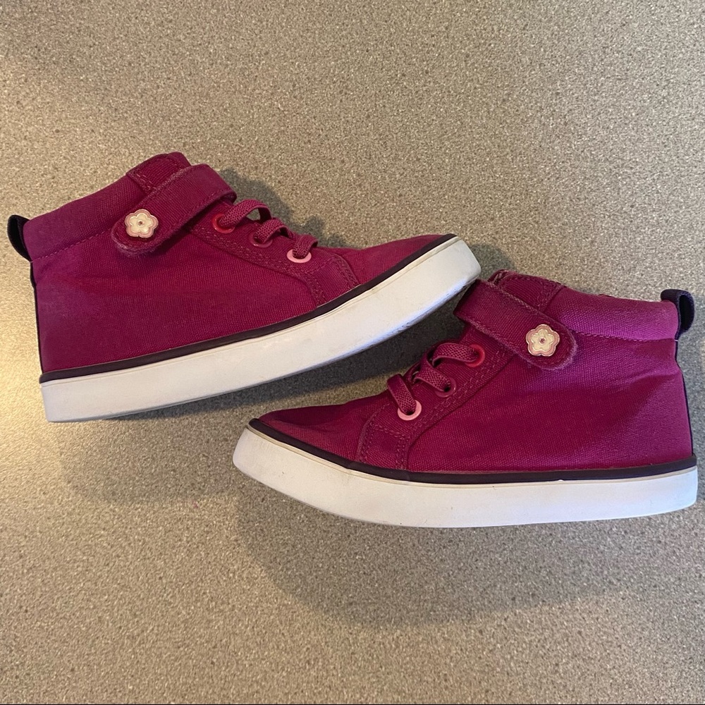 Gymboree Berry Cute Canvas Shoes